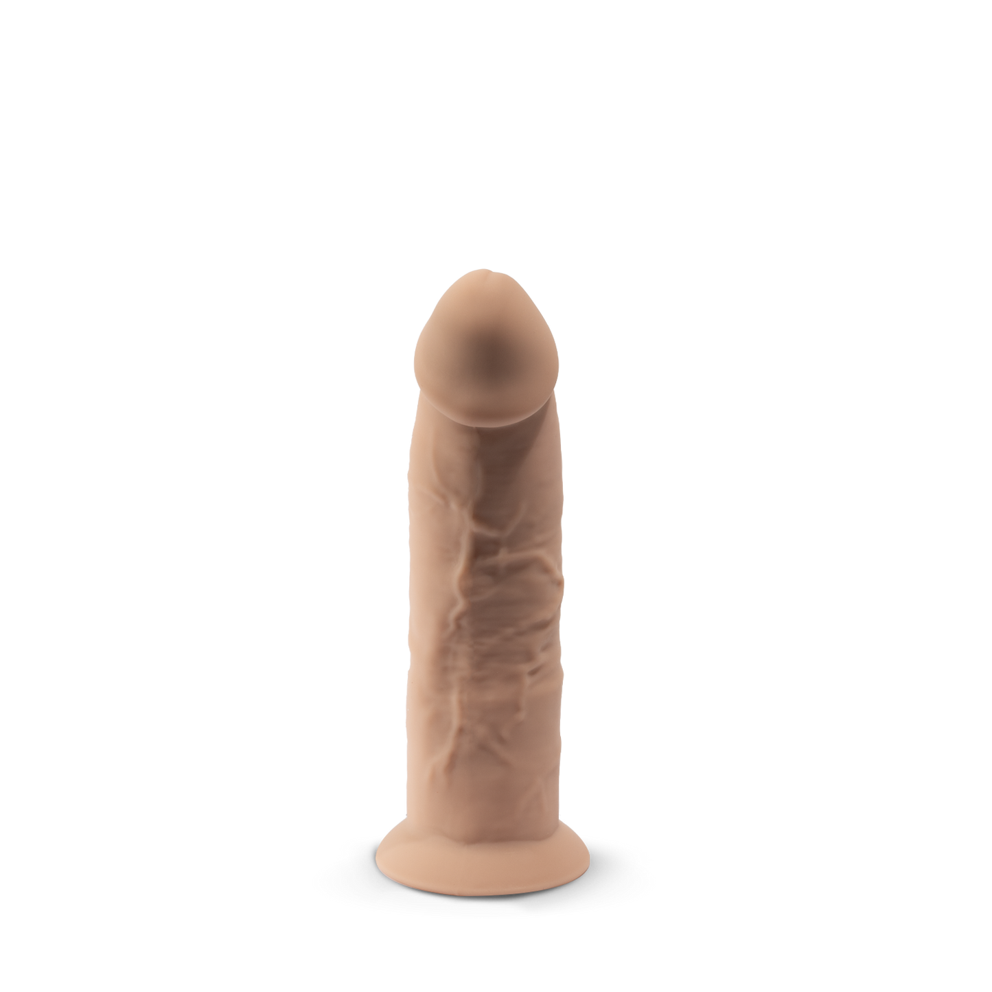 Model 2 6"