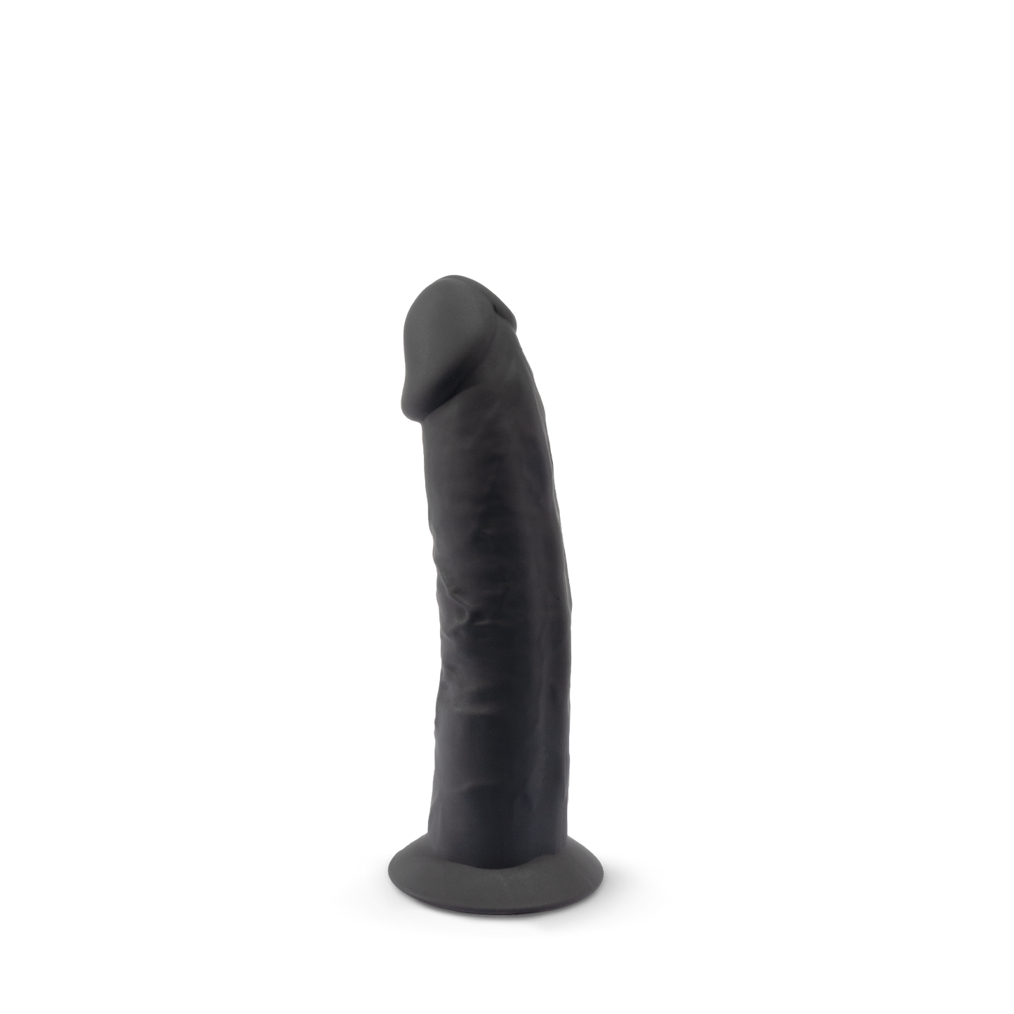 Model 2 6"