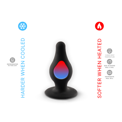 Plug Model 2 S
