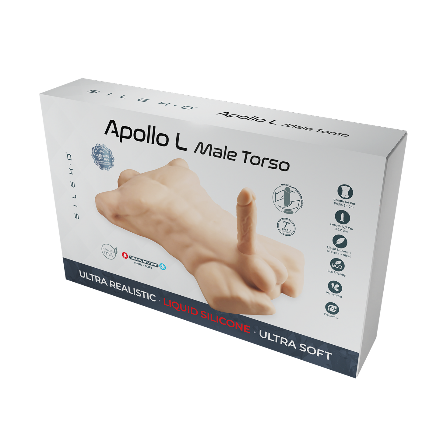 Apollo L Male Torso