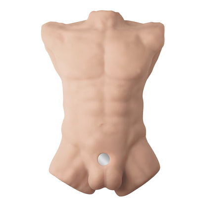 Apollo L Male Torso