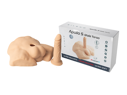 Apollo S Half Male Torso
