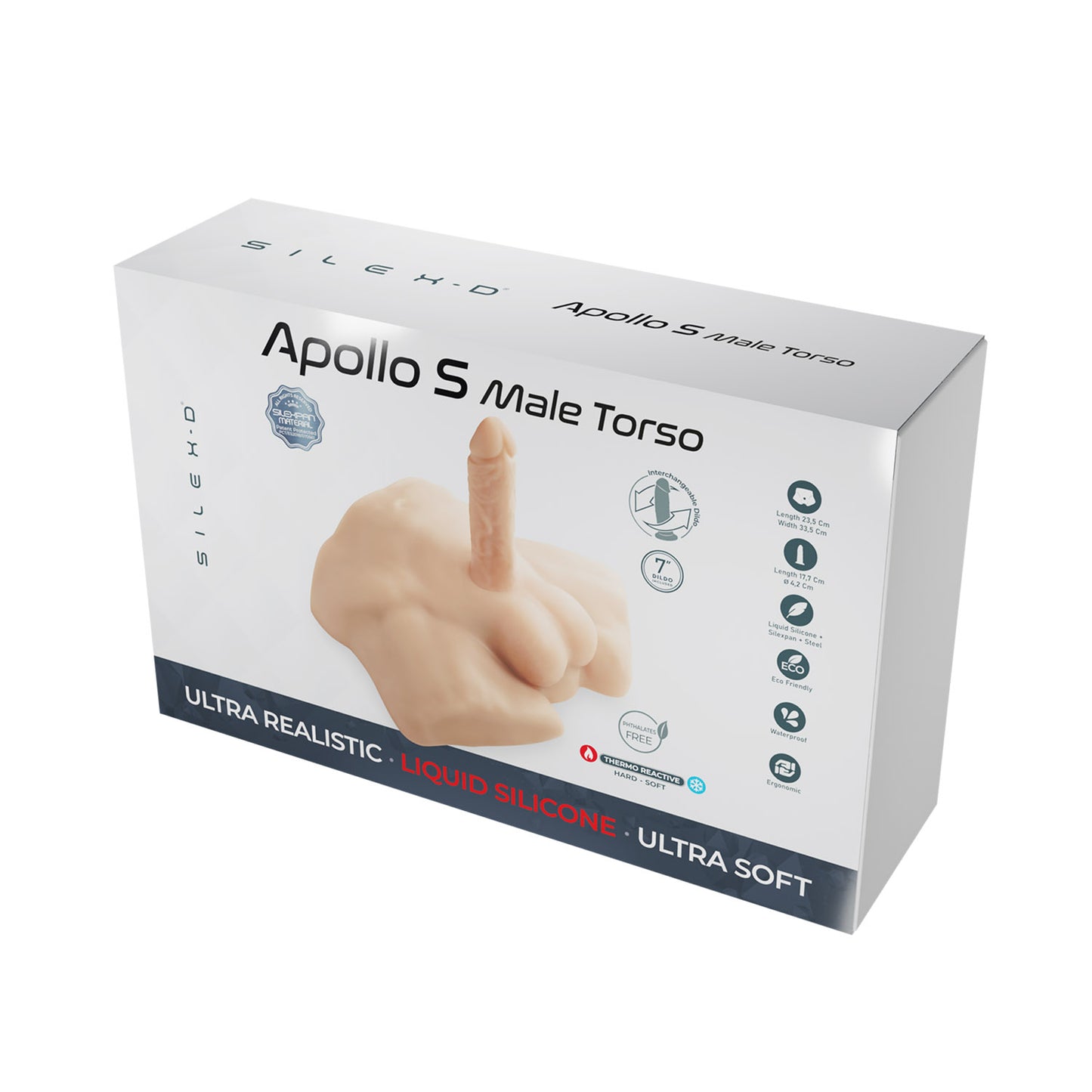 Apollo S Half Male Torso