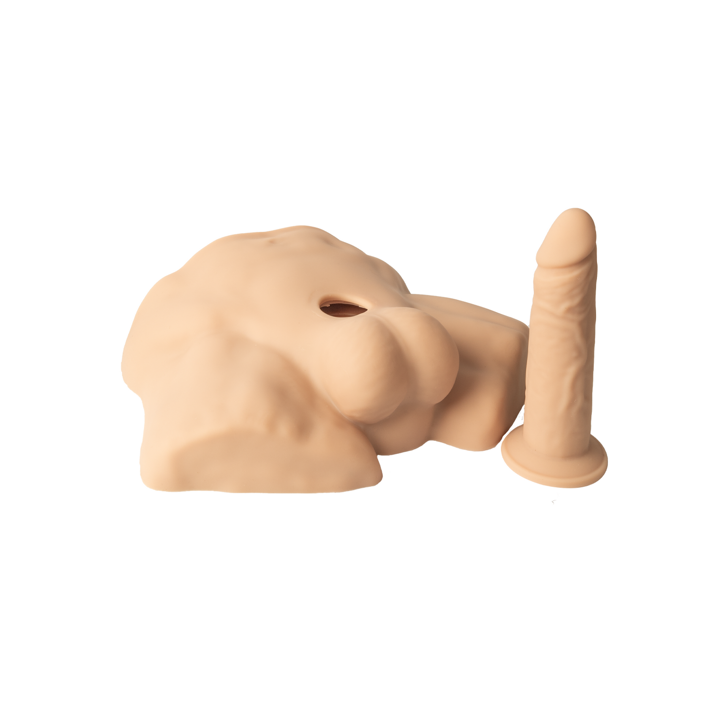 Apollo S Half Male Torso