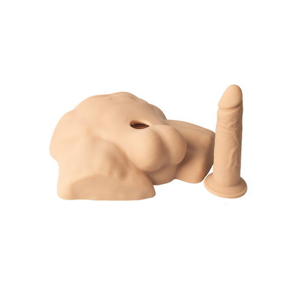 Apollo S Half Male Torso