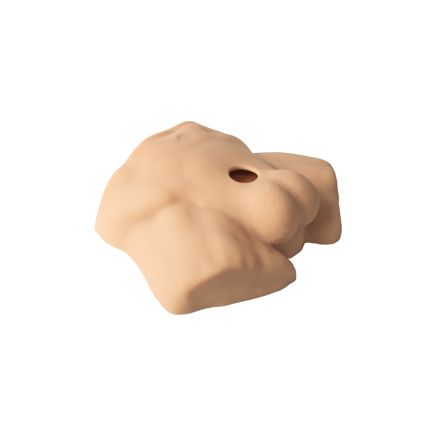 Apollo S Half Male Torso