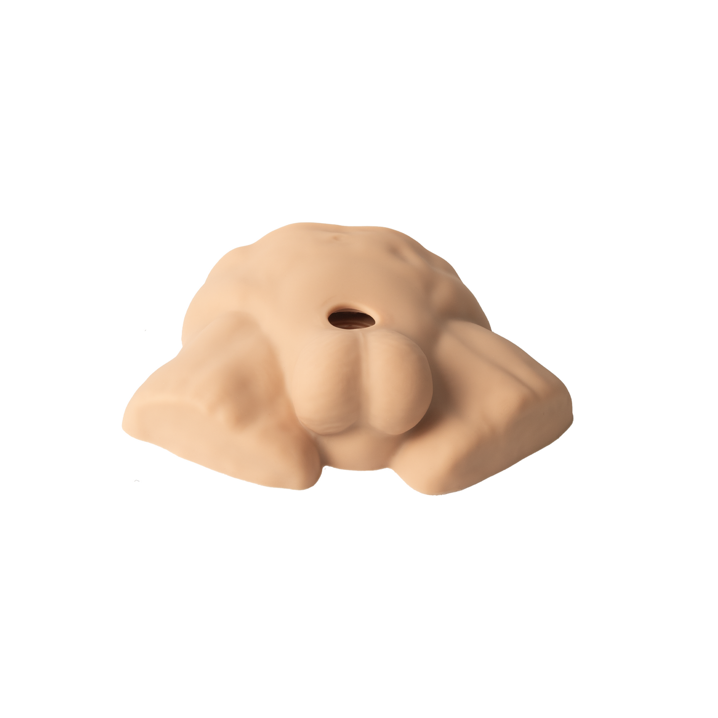 Apollo S Half Male Torso